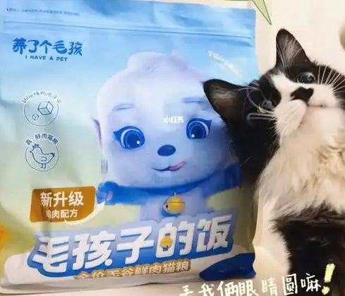 口粮！三只松鼠靠什么重返宠物食品赛道pg电子模拟器试玩零食巨头盯上毛孩子(图4)