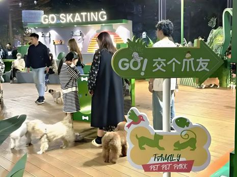 丨宠物坐高铁侯毅下厨房pg模拟器实探派特鲜生(图3)