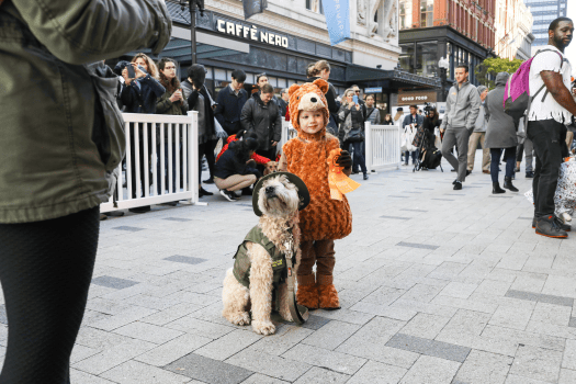 友好的波士顿万圣节活动pg电子中国网站亲子(图5) 友好的波士顿万圣节活动pg电子中国网站亲子(图5)