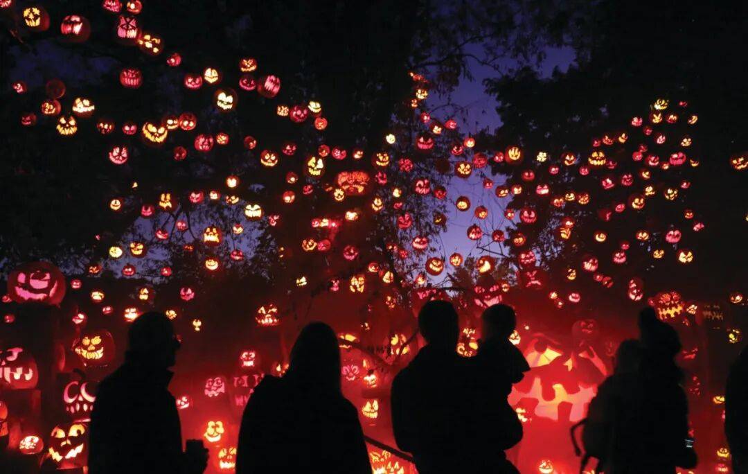 友好的波士顿万圣节活动pg电子中国网站亲子(图8) 友好的波士顿万圣节活动pg电子中国网站亲子(图8)