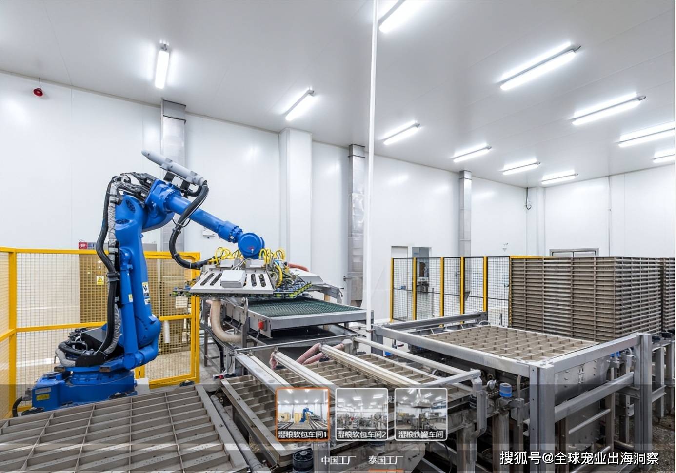 项目乖宝宠物出海建高端食品大厂pg试玩宠